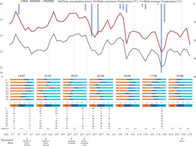 A 3-year application of different mycorrhiza-based plant biostimulants distinctively modulates photosynthetic performance, leaf metabolism, and fruit quality in grapes (Vitis vinifera L.)